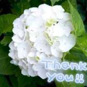 ヒメ日記 2025/06/15 18:23 投稿 みづき(昭和49年生まれ) 熟年カップル名古屋～生電話からの営み～