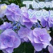 ヒメ日記 2025/06/16 16:48 投稿 みづき(昭和49年生まれ) 熟年カップル名古屋～生電話からの営み～