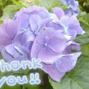 ヒメ日記 2025/06/20 16:19 投稿 みづき(昭和49年生まれ) 熟年カップル名古屋～生電話からの営み～