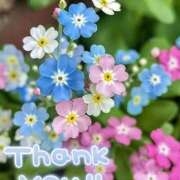 ヒメ日記 2025/06/20 19:24 投稿 みづき(昭和49年生まれ) 熟年カップル名古屋～生電話からの営み～