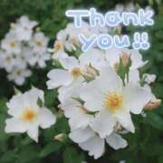 ヒメ日記 2025/06/20 19:33 投稿 みづき(昭和49年生まれ) 熟年カップル名古屋～生電話からの営み～