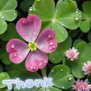 ヒメ日記 2025/06/22 13:23 投稿 みづき(昭和49年生まれ) 熟年カップル名古屋～生電話からの営み～