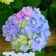 ヒメ日記 2025/06/22 15:26 投稿 みづき(昭和49年生まれ) 熟年カップル名古屋～生電話からの営み～