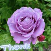 ヒメ日記 2025/06/24 20:19 投稿 みづき(昭和49年生まれ) 熟年カップル名古屋～生電話からの営み～