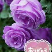 ヒメ日記 2025/06/25 18:04 投稿 みづき(昭和49年生まれ) 熟年カップル名古屋～生電話からの営み～