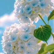 ヒメ日記 2025/06/26 18:23 投稿 みづき(昭和49年生まれ) 熟年カップル名古屋～生電話からの営み～