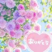 ヒメ日記 2025/06/27 18:03 投稿 みづき(昭和49年生まれ) 熟年カップル名古屋～生電話からの営み～