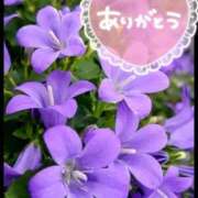 ヒメ日記 2025/06/28 21:43 投稿 みづき(昭和49年生まれ) 熟年カップル名古屋～生電話からの営み～