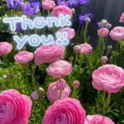 ヒメ日記 2025/06/29 13:21 投稿 みづき(昭和49年生まれ) 熟年カップル名古屋～生電話からの営み～