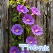 ヒメ日記 2025/06/30 13:05 投稿 みづき(昭和49年生まれ) 熟年カップル名古屋～生電話からの営み～