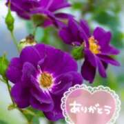 ヒメ日記 2025/06/30 15:51 投稿 みづき(昭和49年生まれ) 熟年カップル名古屋～生電話からの営み～