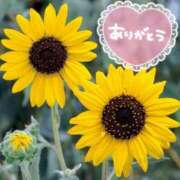 ヒメ日記 2025/07/02 13:19 投稿 みづき(昭和49年生まれ) 熟年カップル名古屋～生電話からの営み～