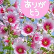 ヒメ日記 2025/07/02 18:50 投稿 みづき(昭和49年生まれ) 熟年カップル名古屋～生電話からの営み～