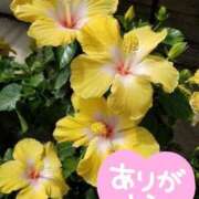 ヒメ日記 2025/07/03 15:23 投稿 みづき(昭和49年生まれ) 熟年カップル名古屋～生電話からの営み～