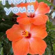 ヒメ日記 2025/07/03 19:55 投稿 みづき(昭和49年生まれ) 熟年カップル名古屋～生電話からの営み～