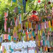 ヒメ日記 2025/07/07 17:02 投稿 みづき(昭和49年生まれ) 熟年カップル名古屋～生電話からの営み～