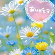 ヒメ日記 2025/07/12 14:06 投稿 みづき(昭和49年生まれ) 熟年カップル名古屋～生電話からの営み～