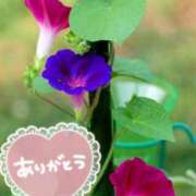 ヒメ日記 2025/07/12 19:18 投稿 みづき(昭和49年生まれ) 熟年カップル名古屋～生電話からの営み～