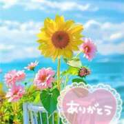 ヒメ日記 2025/07/20 20:00 投稿 みづき(昭和49年生まれ) 熟年カップル名古屋～生電話からの営み～