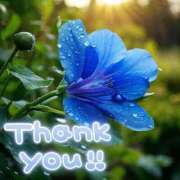 ヒメ日記 2025/07/22 18:50 投稿 みづき(昭和49年生まれ) 熟年カップル名古屋～生電話からの営み～