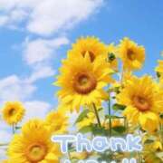 ヒメ日記 2025/07/25 13:45 投稿 みづき(昭和49年生まれ) 熟年カップル名古屋～生電話からの営み～