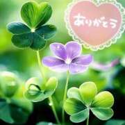 ヒメ日記 2025/07/27 13:55 投稿 みづき(昭和49年生まれ) 熟年カップル名古屋～生電話からの営み～