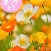 ヒメ日記 2025/07/27 18:43 投稿 みづき(昭和49年生まれ) 熟年カップル名古屋～生電話からの営み～