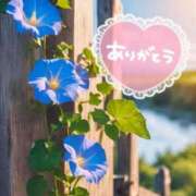 ヒメ日記 2025/07/29 12:43 投稿 みづき(昭和49年生まれ) 熟年カップル名古屋～生電話からの営み～