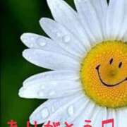 ヒメ日記 2025/08/29 15:31 投稿 みづき(昭和49年生まれ) 熟年カップル名古屋～生電話からの営み～