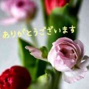 ヒメ日記 2025/09/15 12:41 投稿 みづき(昭和49年生まれ) 熟年カップル名古屋～生電話からの営み～