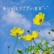 ヒメ日記 2025/09/29 16:05 投稿 みづき(昭和49年生まれ) 熟年カップル名古屋～生電話からの営み～