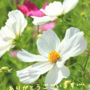 ヒメ日記 2025/10/02 13:15 投稿 みづき(昭和49年生まれ) 熟年カップル名古屋～生電話からの営み～