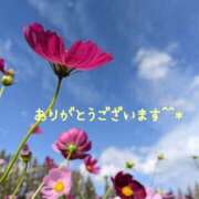 ヒメ日記 2025/10/02 18:28 投稿 みづき(昭和49年生まれ) 熟年カップル名古屋～生電話からの営み～