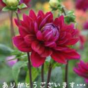 ヒメ日記 2025/10/03 17:10 投稿 みづき(昭和49年生まれ) 熟年カップル名古屋～生電話からの営み～