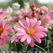 ヒメ日記 2025/10/05 18:22 投稿 みづき(昭和49年生まれ) 熟年カップル名古屋～生電話からの営み～