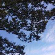 ヒメ日記 2025/10/29 11:02 投稿 みづき(昭和49年生まれ) 熟年カップル名古屋～生電話からの営み～