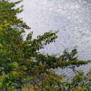 ヒメ日記 2025/11/14 11:43 投稿 みづき(昭和49年生まれ) 熟年カップル名古屋～生電話からの営み～