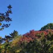 ヒメ日記 2025/11/19 11:32 投稿 みづき(昭和49年生まれ) 熟年カップル名古屋～生電話からの営み～