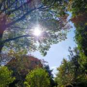 ヒメ日記 2025/11/20 11:37 投稿 みづき(昭和49年生まれ) 熟年カップル名古屋～生電話からの営み～