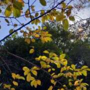 ヒメ日記 2025/11/29 12:09 投稿 みづき(昭和49年生まれ) 熟年カップル名古屋～生電話からの営み～