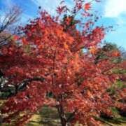 ヒメ日記 2025/12/02 13:03 投稿 みづき(昭和49年生まれ) 熟年カップル名古屋～生電話からの営み～