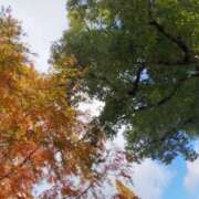 ヒメ日記 2025/12/04 10:10 投稿 みづき(昭和49年生まれ) 熟年カップル名古屋～生電話からの営み～