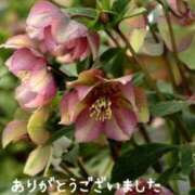 ヒメ日記 2025/12/13 13:36 投稿 みづき(昭和49年生まれ) 熟年カップル名古屋～生電話からの営み～