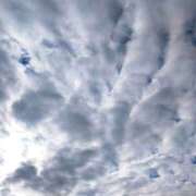 ヒメ日記 2025/12/16 10:22 投稿 みづき(昭和49年生まれ) 熟年カップル名古屋～生電話からの営み～