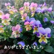 ヒメ日記 2025/12/17 15:37 投稿 みづき(昭和49年生まれ) 熟年カップル名古屋～生電話からの営み～