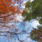 ヒメ日記 2025/12/19 10:24 投稿 みづき(昭和49年生まれ) 熟年カップル名古屋～生電話からの営み～