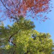 ヒメ日記 2025/12/22 13:12 投稿 みづき(昭和49年生まれ) 熟年カップル名古屋～生電話からの営み～