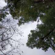 ヒメ日記 2025/12/23 10:37 投稿 みづき(昭和49年生まれ) 熟年カップル名古屋～生電話からの営み～