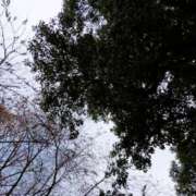 ヒメ日記 2025/12/26 10:53 投稿 みづき(昭和49年生まれ) 熟年カップル名古屋～生電話からの営み～