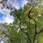 ヒメ日記 2025/12/27 10:25 投稿 みづき(昭和49年生まれ) 熟年カップル名古屋～生電話からの営み～